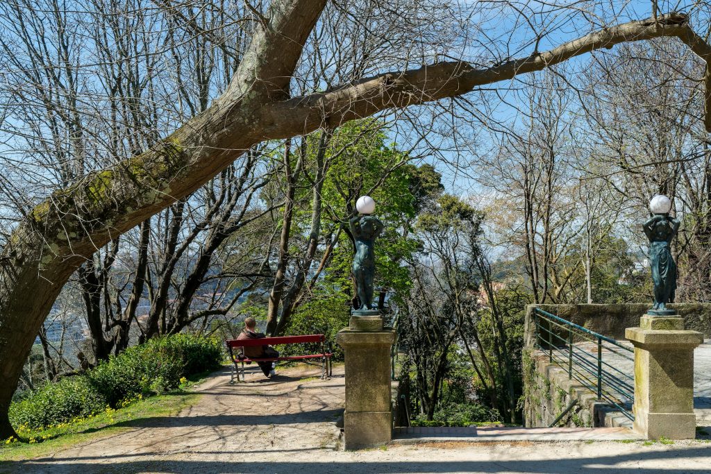 Cartões de Crédito em Porto Rico: Benefícios e Taxas de Banco Santander, Citi e HSBC para Você - Como solicitar cartão de crédito online em Porto Rico?