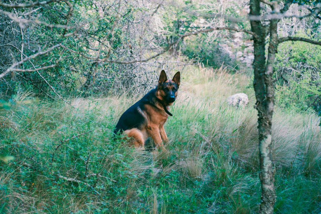 Como escolher a melhor Tarjeta de Crédito na Argentina: comparação entre Banco Galicia, Santander Río e BBVA - Como solicitar cartão de crédito online na Argentina?