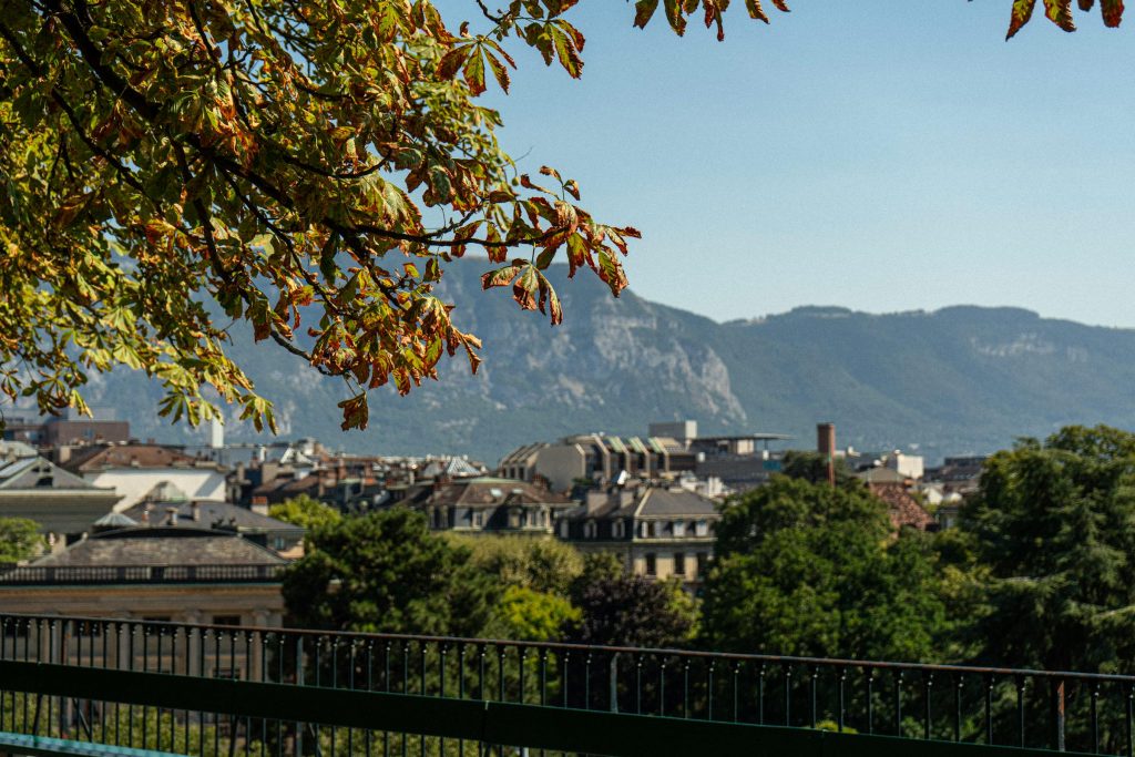 Como Escolher o Cartão de Crédito Ideal na Suíça: UBS, Credit Suisse e Outras Opções - Como solicitar cartão de crédito online na Suiça?