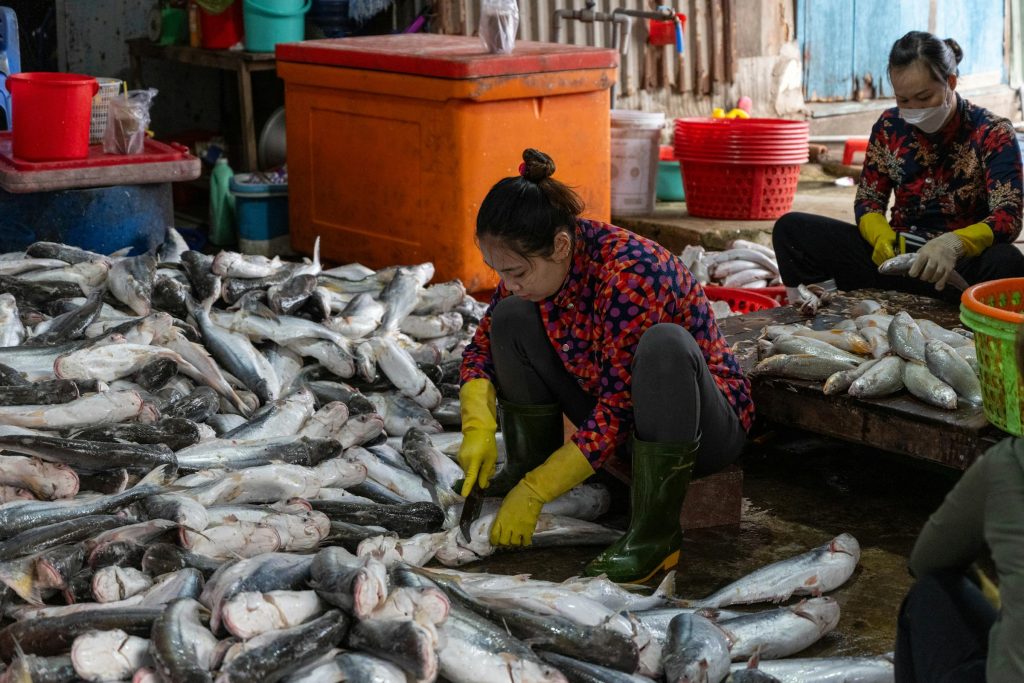 Empregos em Alta: Como Conad, CoopItalia e Outros Gigantes Italianos Estão Transformando o Mercado de Trabalho - Melhores oportunidades de emprego na Italia