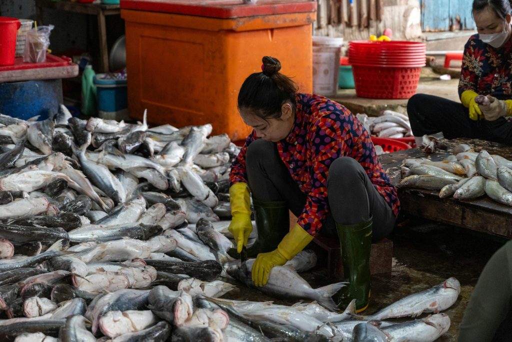 Como as Gigantes do Setor de Telecomunicações como Telekom Srbija e Telenor Transformam o Mercado de Trabalho na Sérvia - Melhores oportunidades de emprego na Servia
